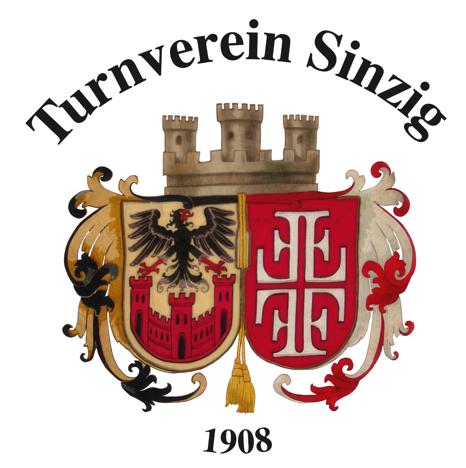 Logo-TV-Sinzig-neu